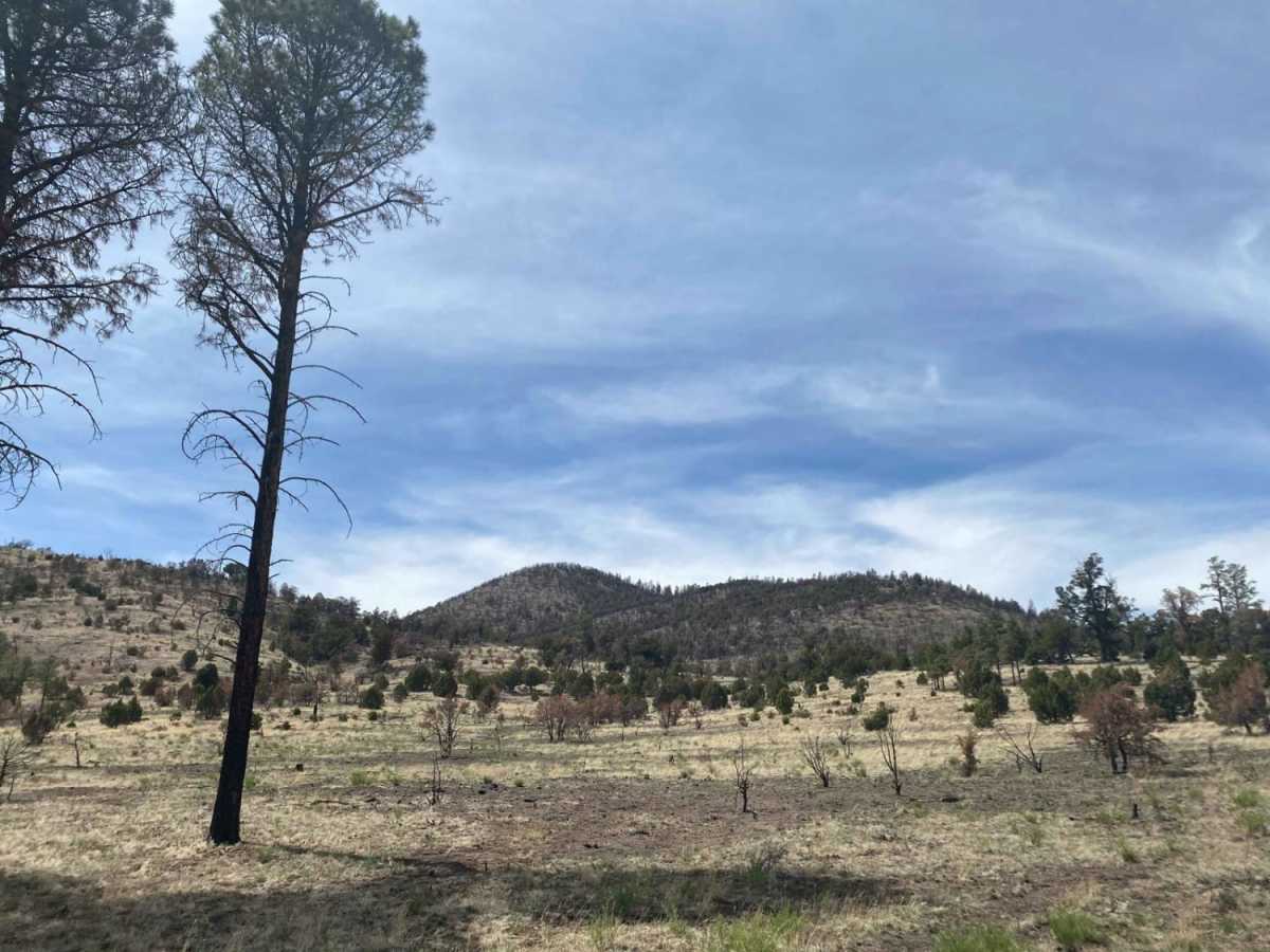 Slate Mountain Loop trail photo