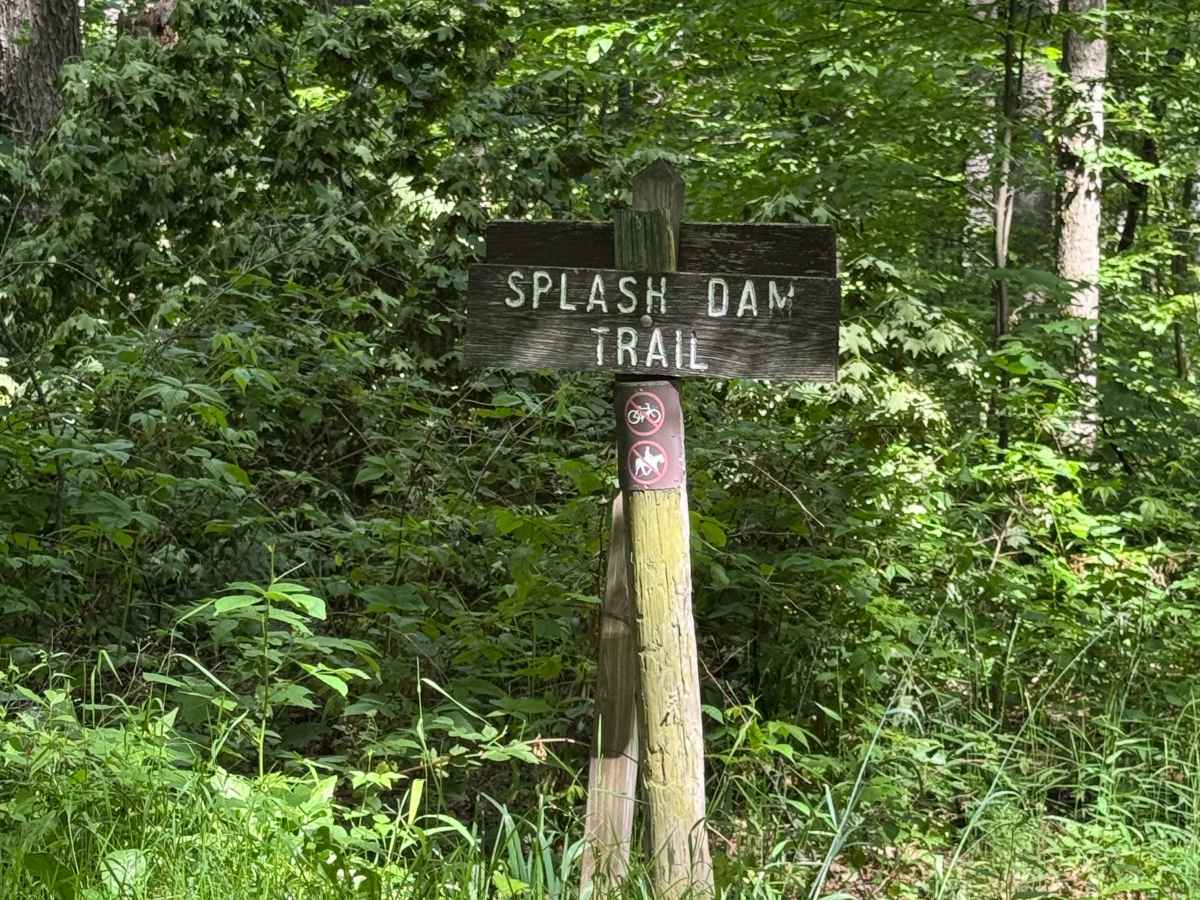 Sunken Branch Road photo 5