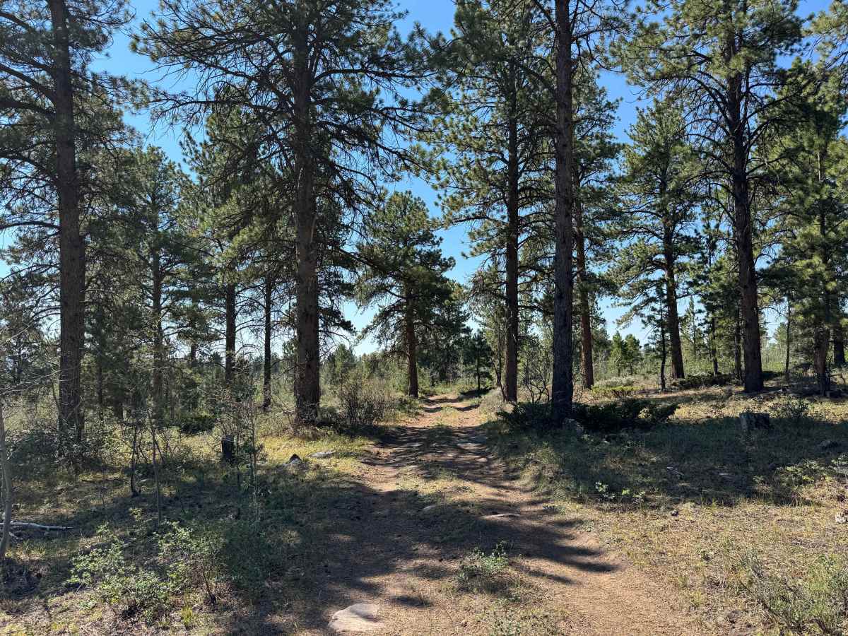 BLM 6112B photo 2
