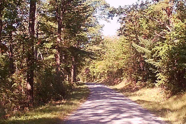 Timber Road