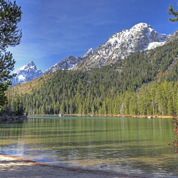 Near Inspiration Point via Leigh Lake Trailhead