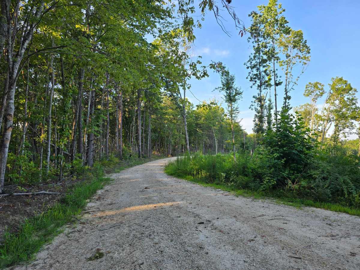 Crooked Creek - FS 743 trail photo
