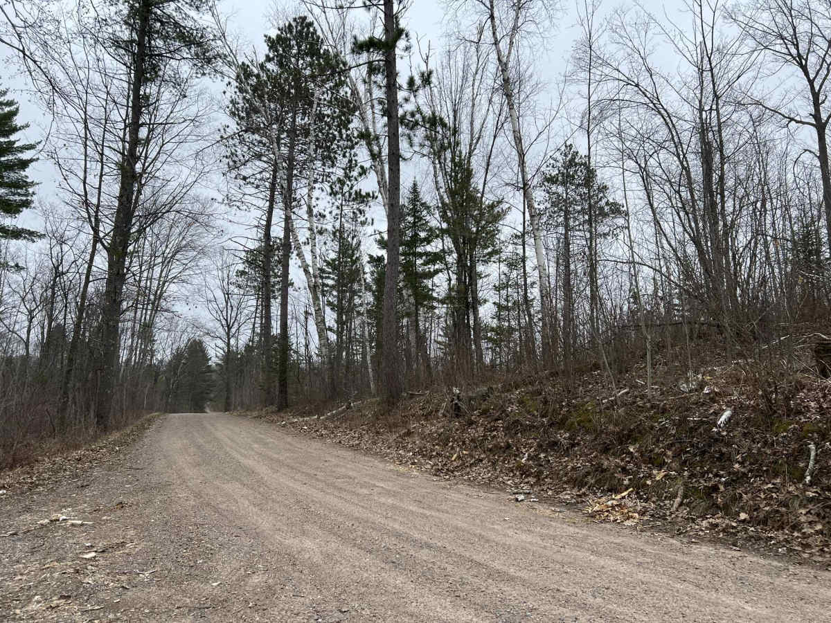 Saul Springs Road - FS 2336 photo 6