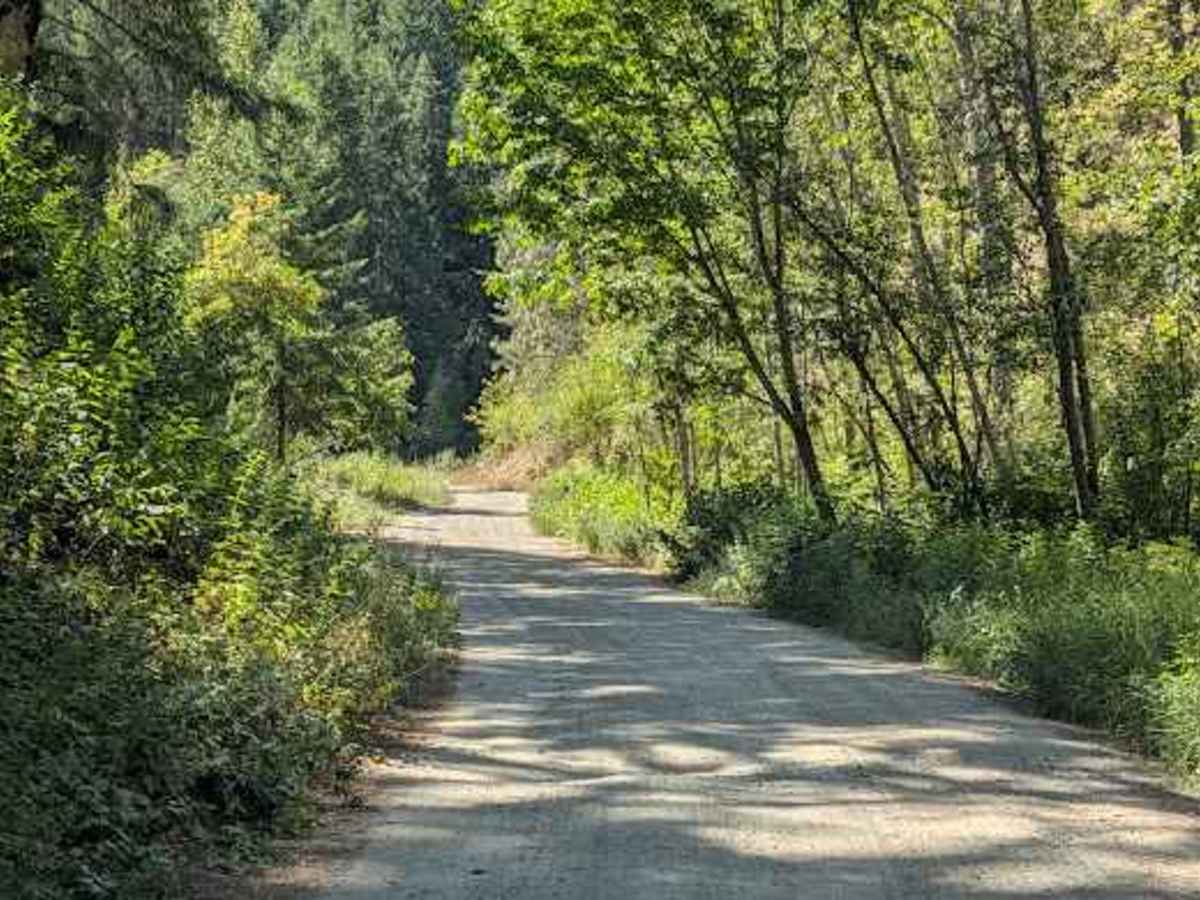 Sand Creek - FS 7104 trail photo