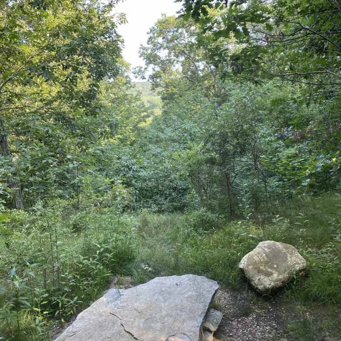 Summit view overlook. Near Maples Farm Outer Loop