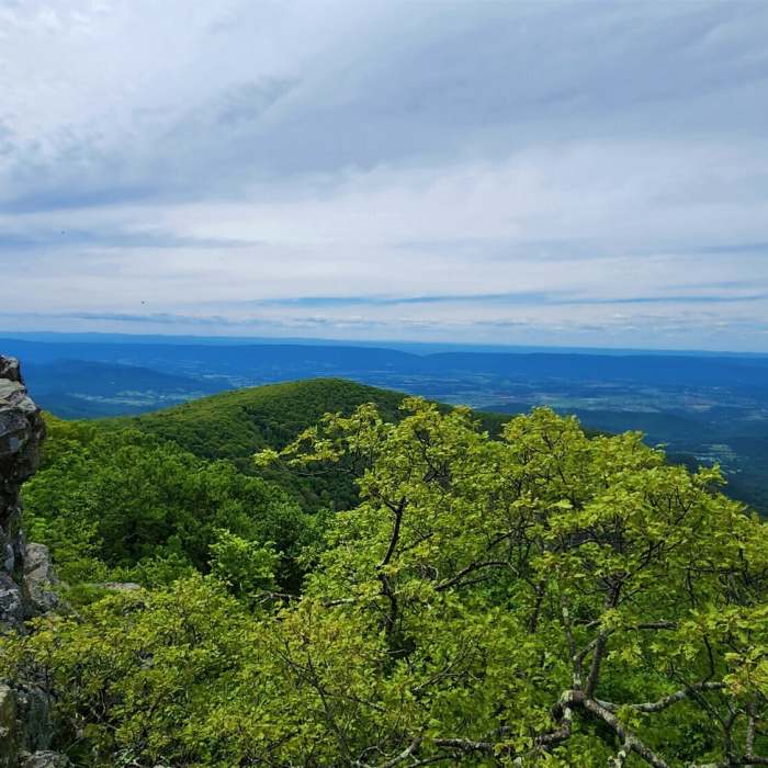 Near Hawksbill and Franklin Cliffs
