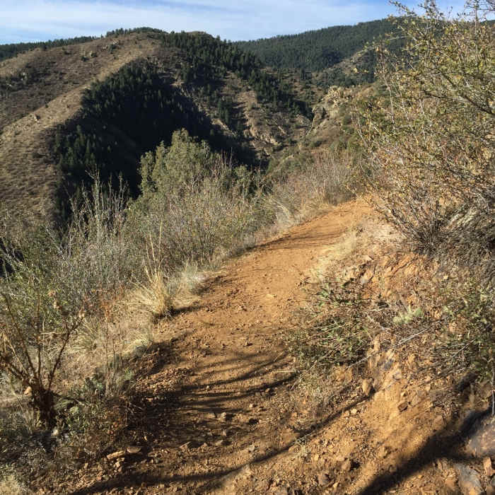 Near Mayhem Gulch Trail