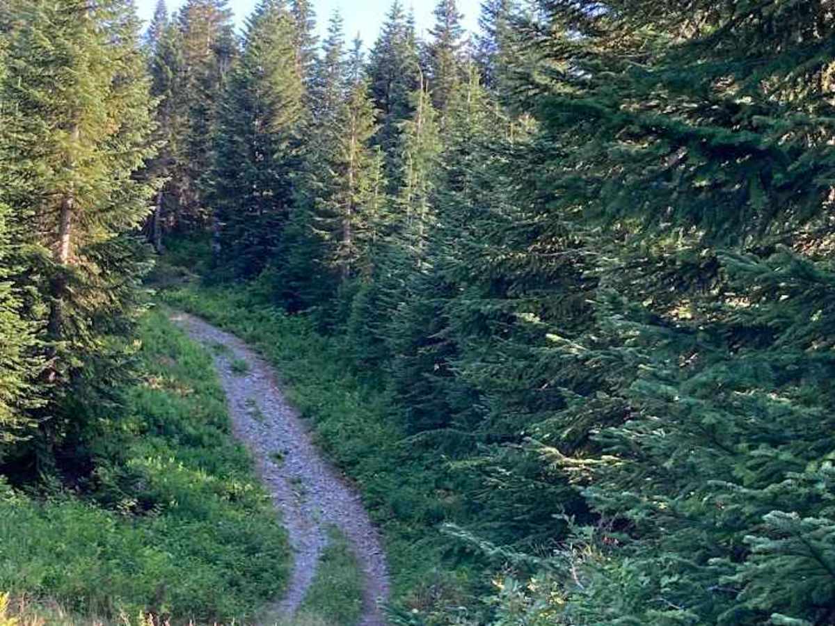 Hyak/Rockdale Lake Road - FS 9070 photo 4