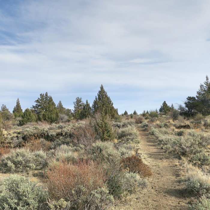 Near Skull Cave, Symbol Bridge + Big Painted Cave Near Skull Cave, Symbol Bridge + Big Painted Cave