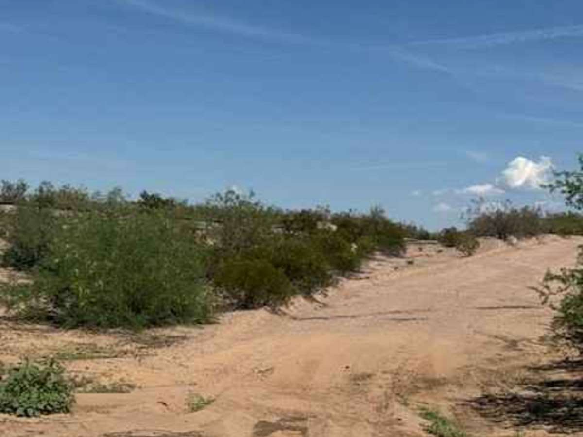 BLM SS1016 photo 4