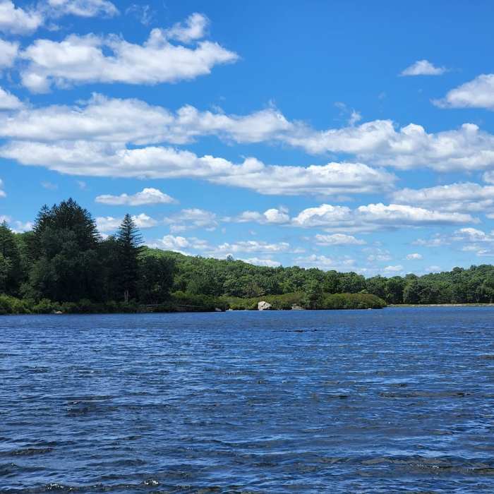 Near Pine Meadow Lake Loop