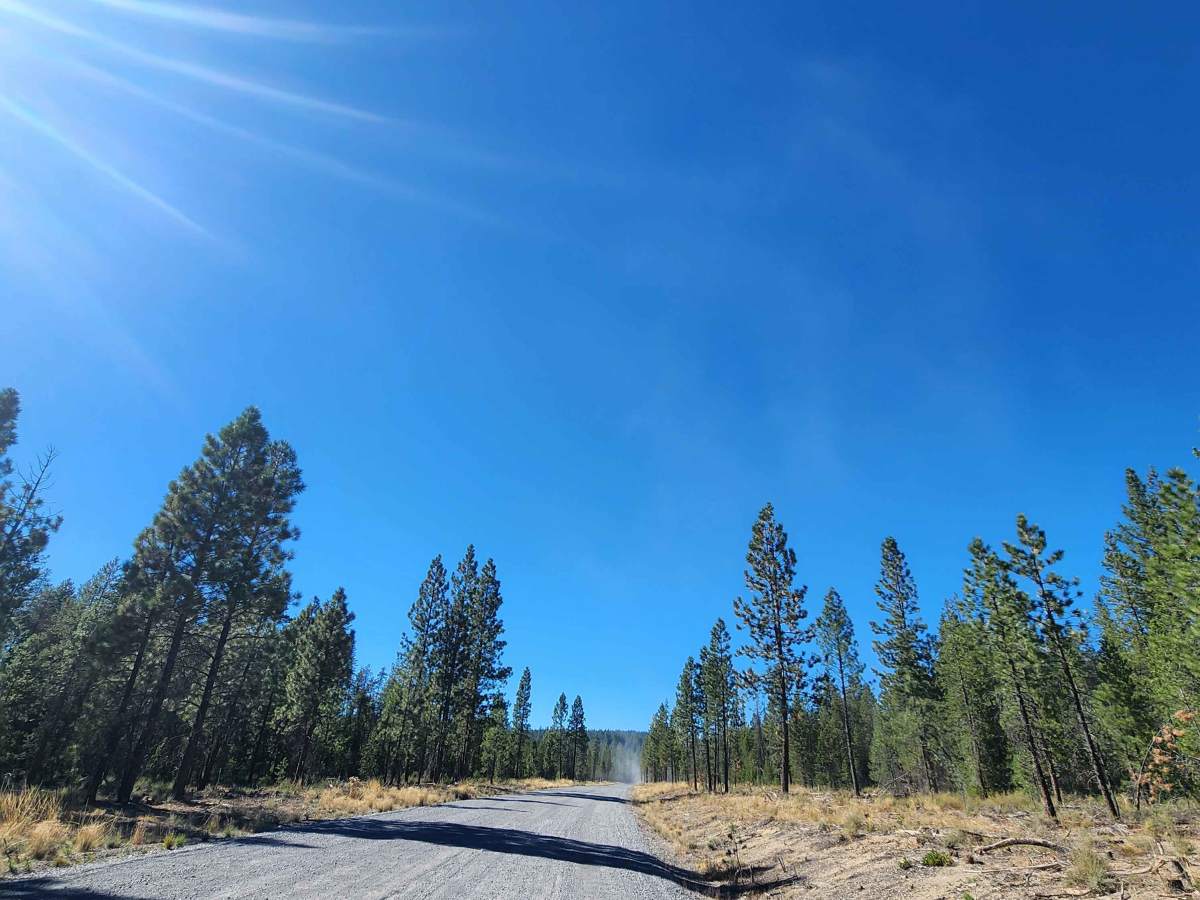 Miller Lake and Digit Campground - FS 9772 photo 6