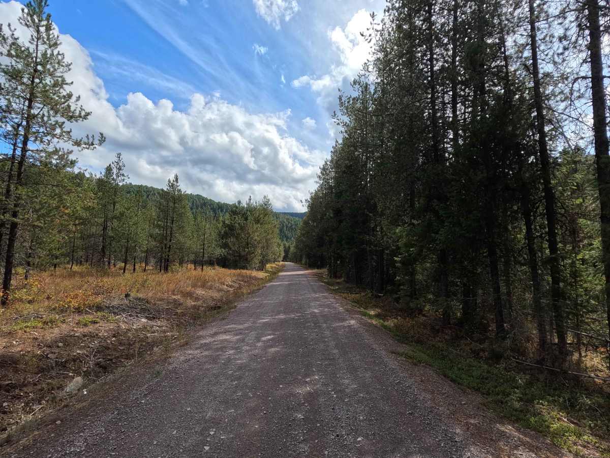 Cook’s Lake - FS 5015 photo 6