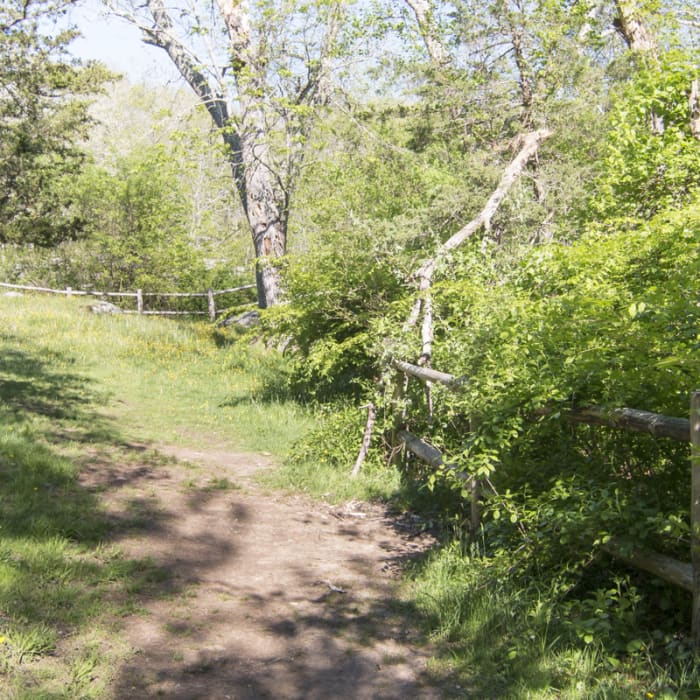 Near Orange Vista Trail Near Orange Vista Trail