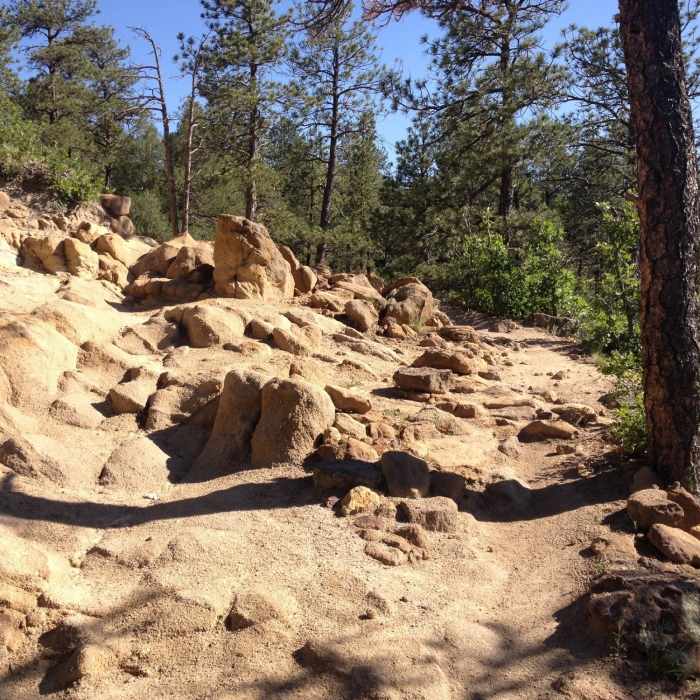 Rocky section, easier line is on the right. Near Kinnickinnick Trail