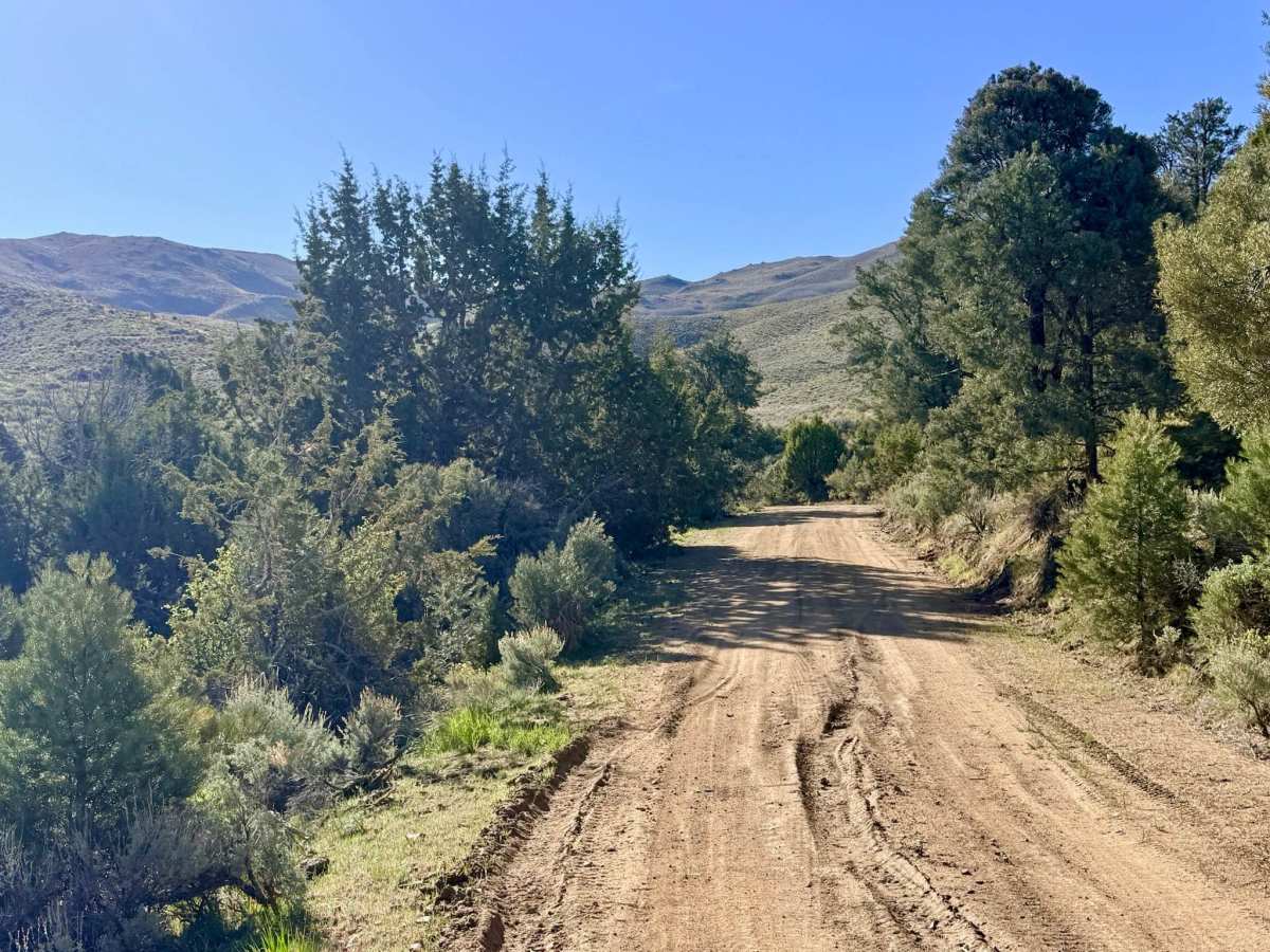 Crow Canyon - FS 43242 photo 3
