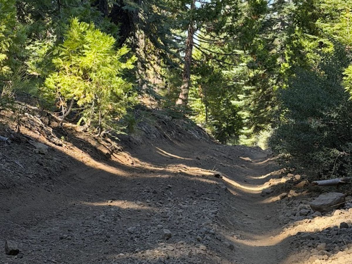 Horse Peddler - FS 9N25 trail photo