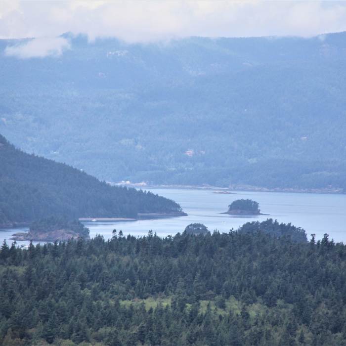 Near Guemes Mountain Trail