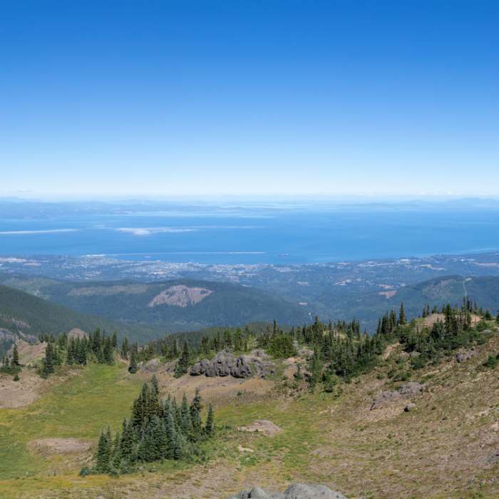 Near Klahhane Ridge Trail