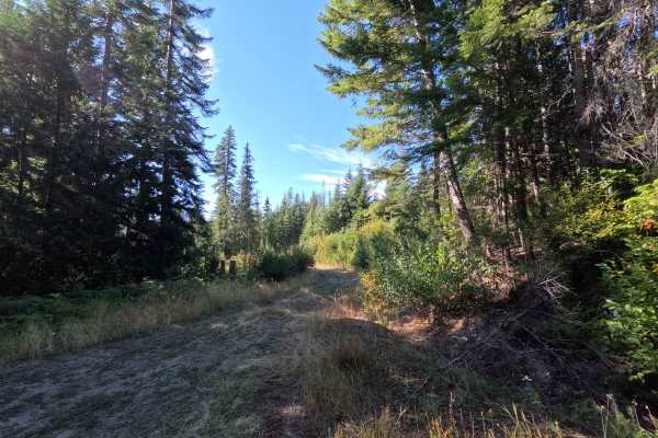 Klahowya Creek F - FS 1075F