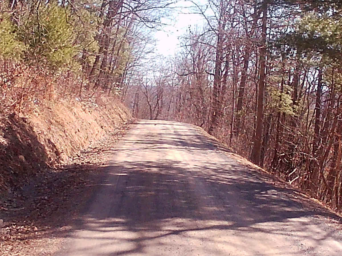 Fox Road photo 6