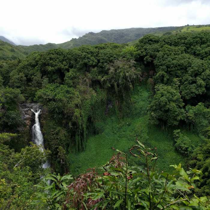 Near Kuloa Point Trail