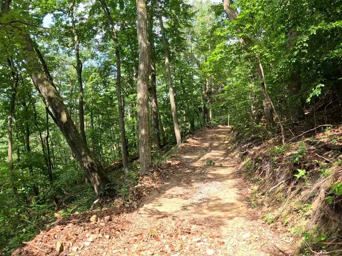 Q14 trail photo