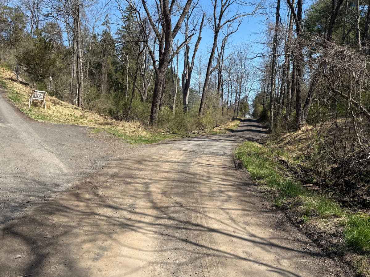 Tettemer Road photo 3