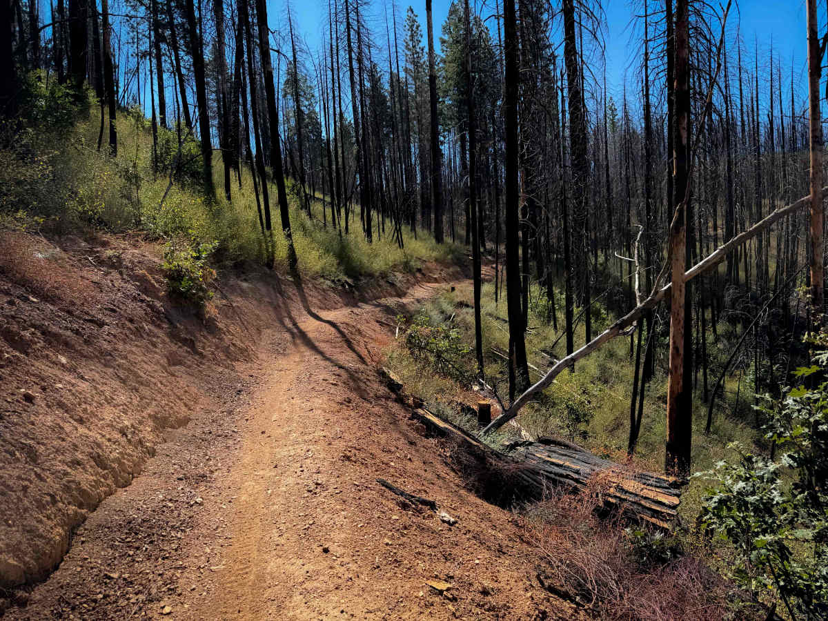 Acorn Connector  trail photo