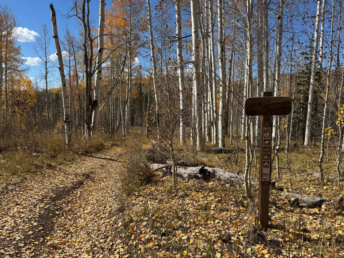 Crane Park Trail trail photo