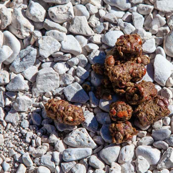 Near The Notch Out-and-Back Near The Notch Out-and-Back