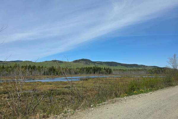 Moose Head Lake