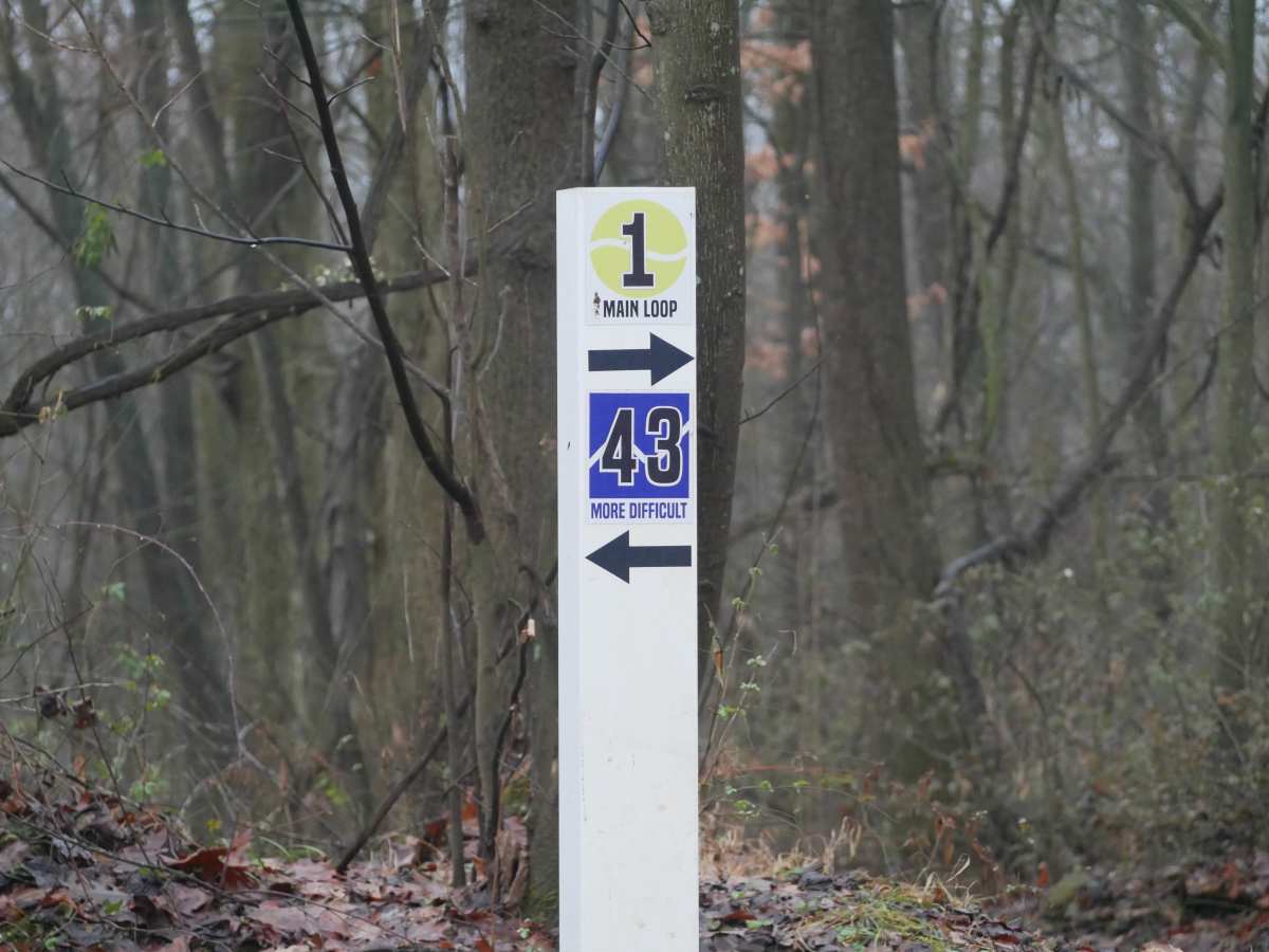 Trail 43 trail photo