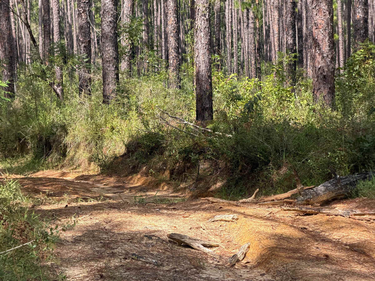 Blackwater River R76 photo 6
