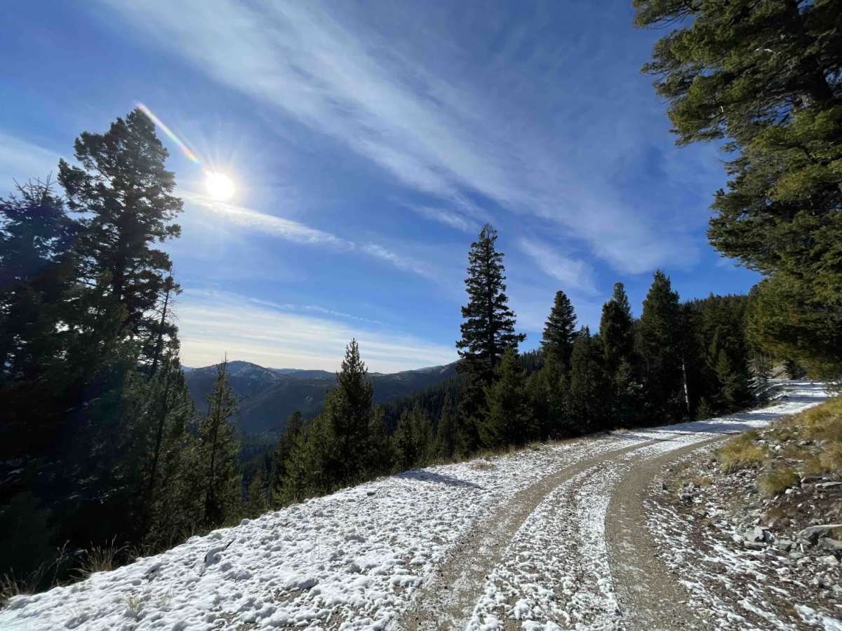 Coal Creek trail photo