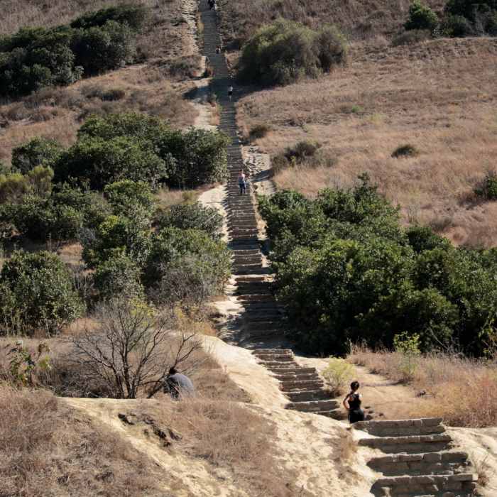 Near Hillside Trail (Baldwin Hills Overlook)