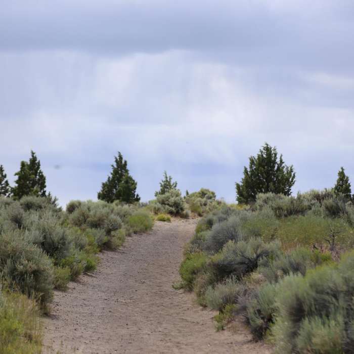 Near Crack In The Ground