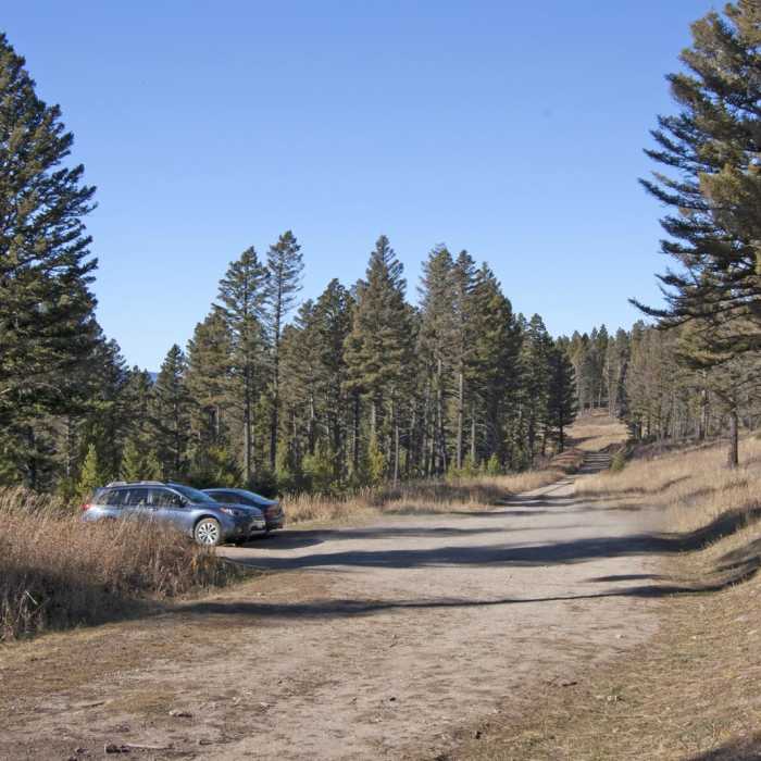 Near Baldy Basin Saddle via West Baldy Basin