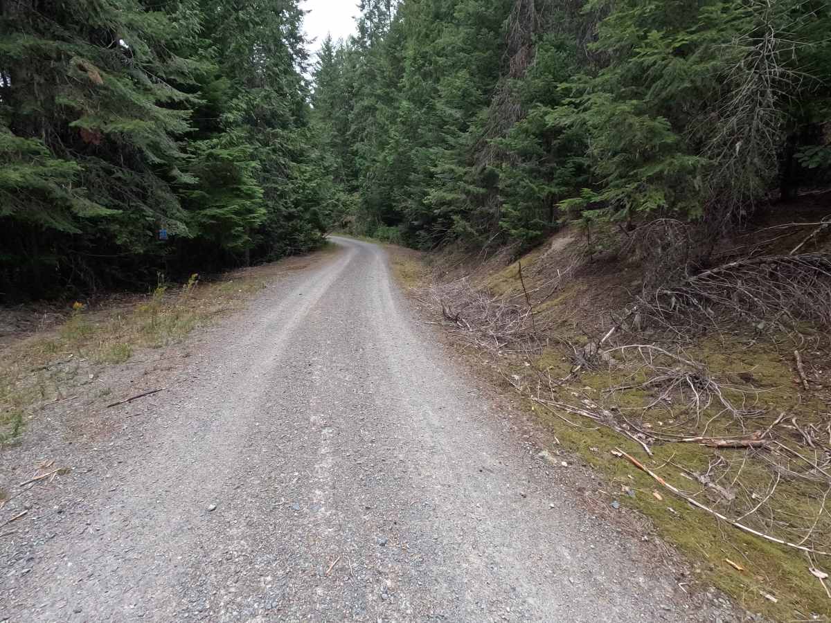 North Skookum Lake Road - FS 5000128 photo 2