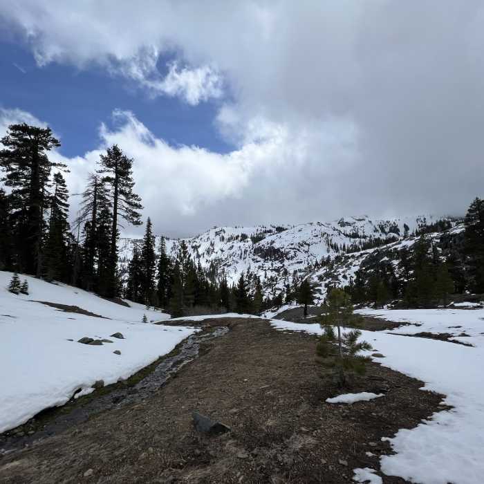 Near Granite Chief Trail