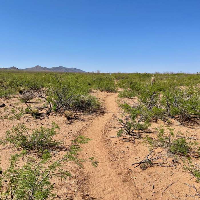Near Continental Divide Trail: New Mexico Section 2