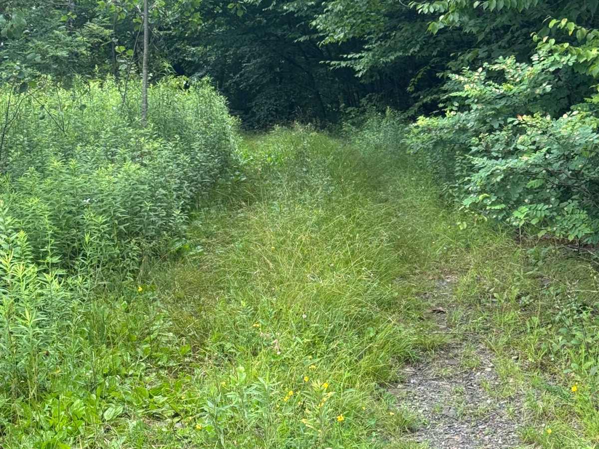 Trail 72 photo 4