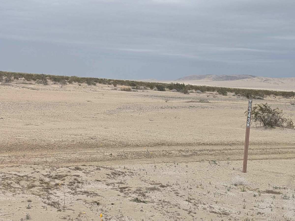 BLM 343 photo 6