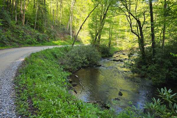 Little Snowbird Road