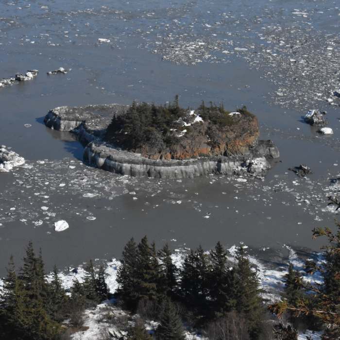 Near Gull Rock Trail