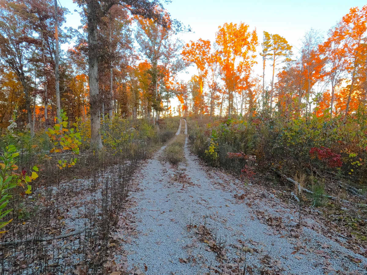 Lakeview - FS 3827 photo 6