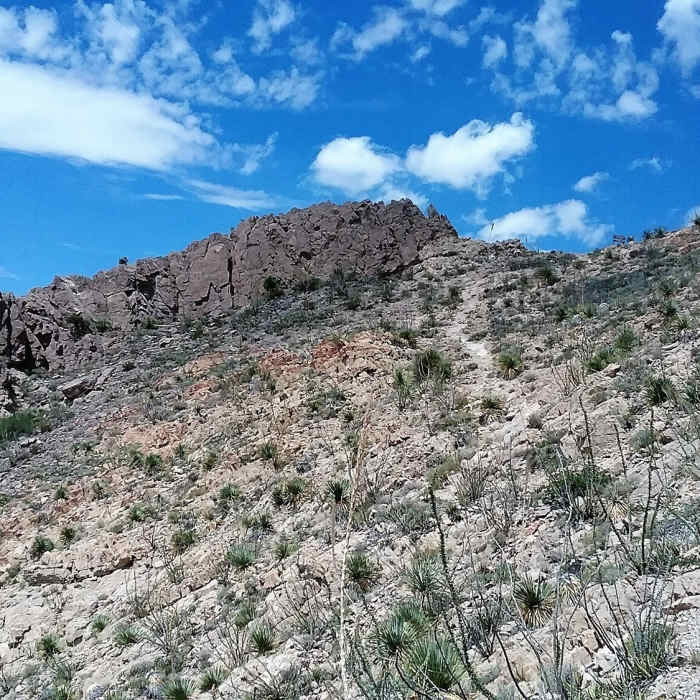 Near Ranger Peak Loop