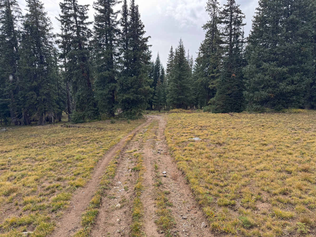 Mount Yeckel trail photo