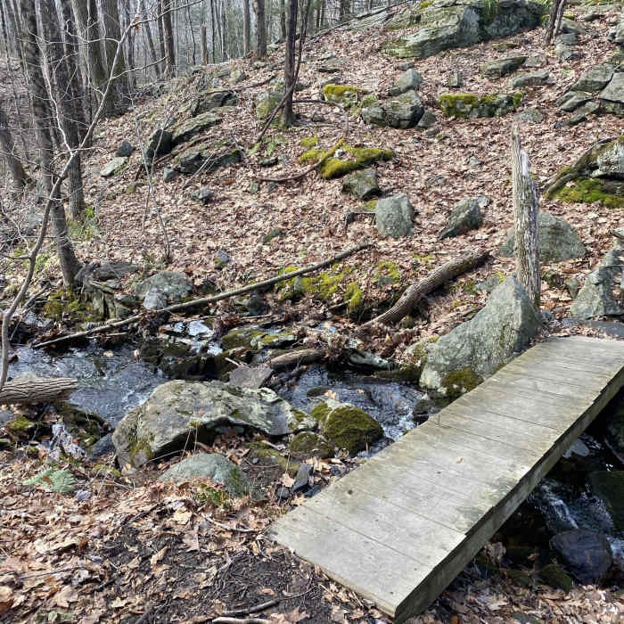 Near Whitestone Cliff Trail (Blue)