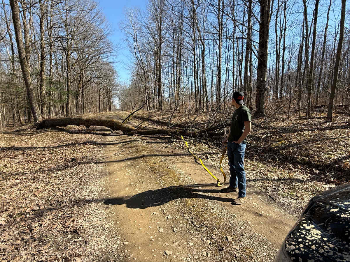 Plumbottom Brown Road photo 4